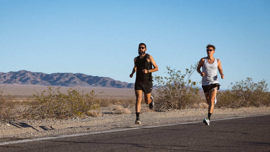 NEAR EARTH distance running socks